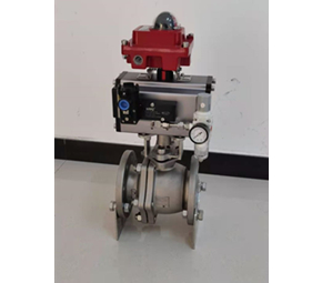 Pneumatic valve